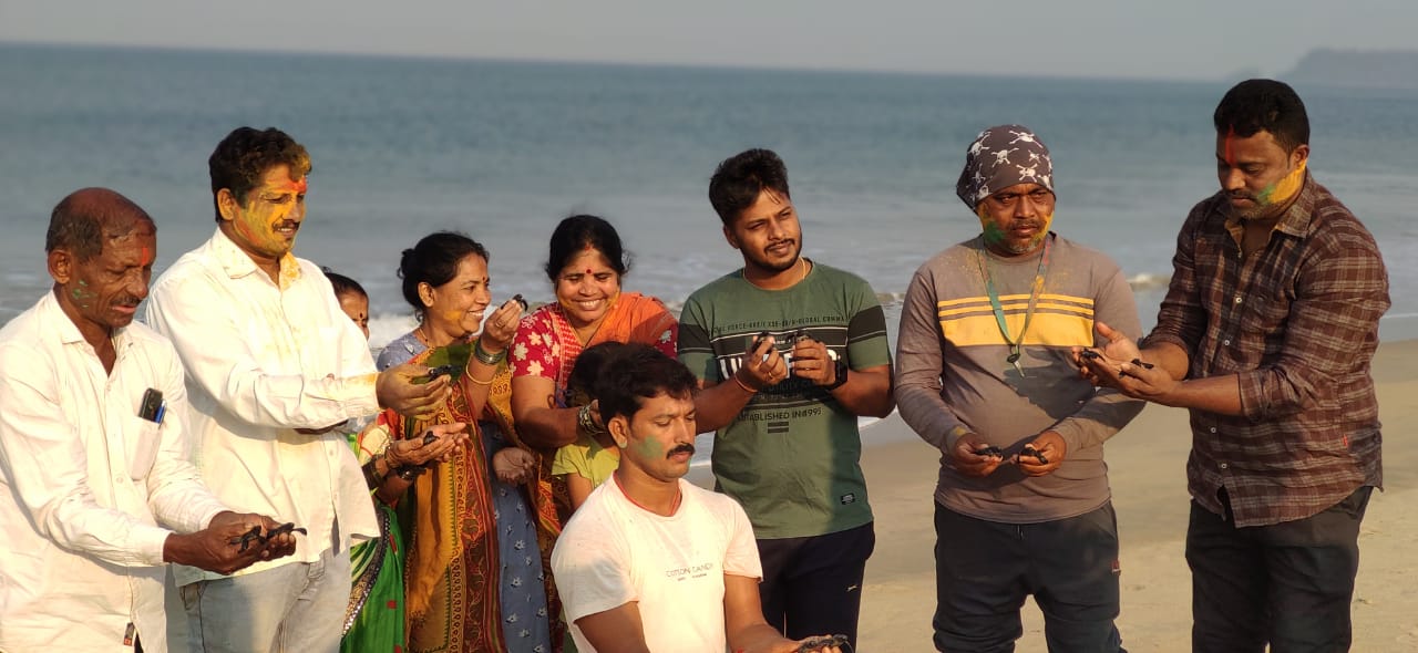 96 Olive Ridley Hatchlings Released into the Sea on Holi Day